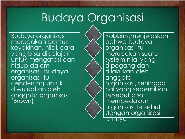 teori budaya organisasi
